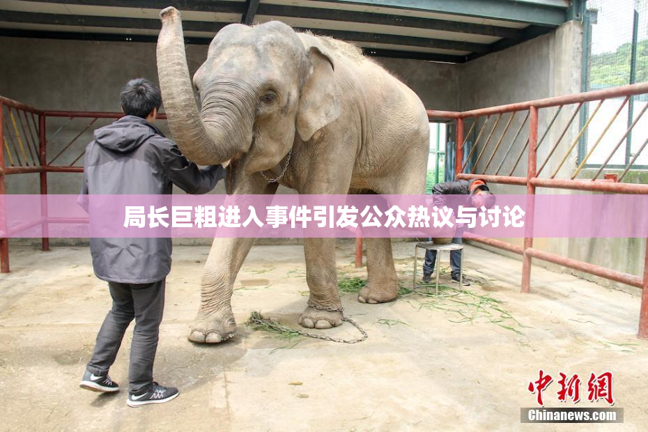局长巨粗进入事件引发公众热议与讨论