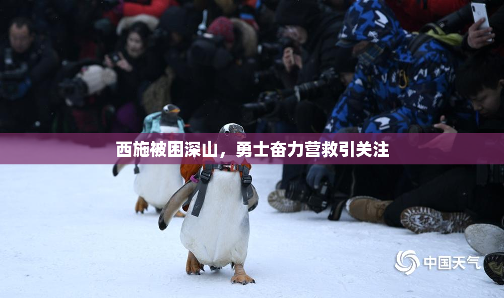 西施被困深山，勇士奋力营救引关注
