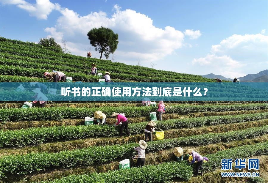 听书的正确使用方法到底是什么？