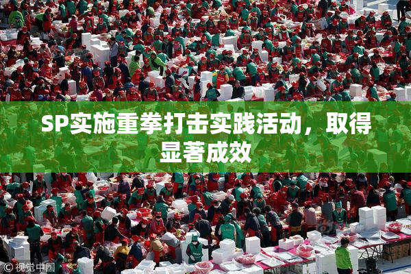 SP实施重拳打击实践活动，取得显著成效