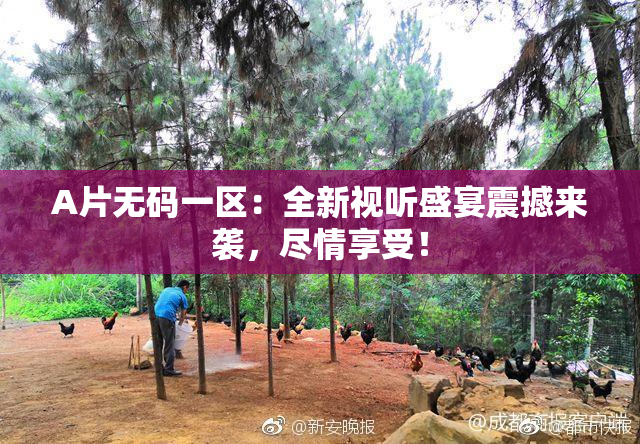 A片无码一区：全新视听盛宴震撼来袭，尽情享受！