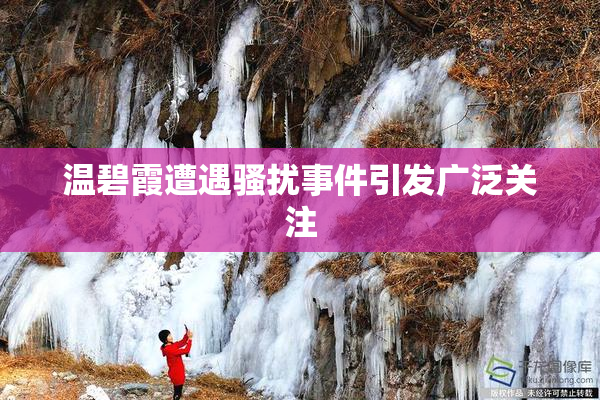 温碧霞遭遇骚扰事件引发广泛关注