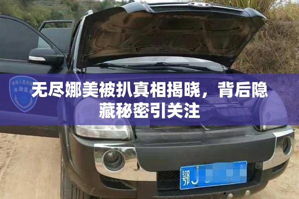无尽娜美被扒真相揭晓，背后隐藏秘密引关注