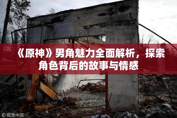 《原神》男角魅力全面解析，探索角色背后的故事与情感