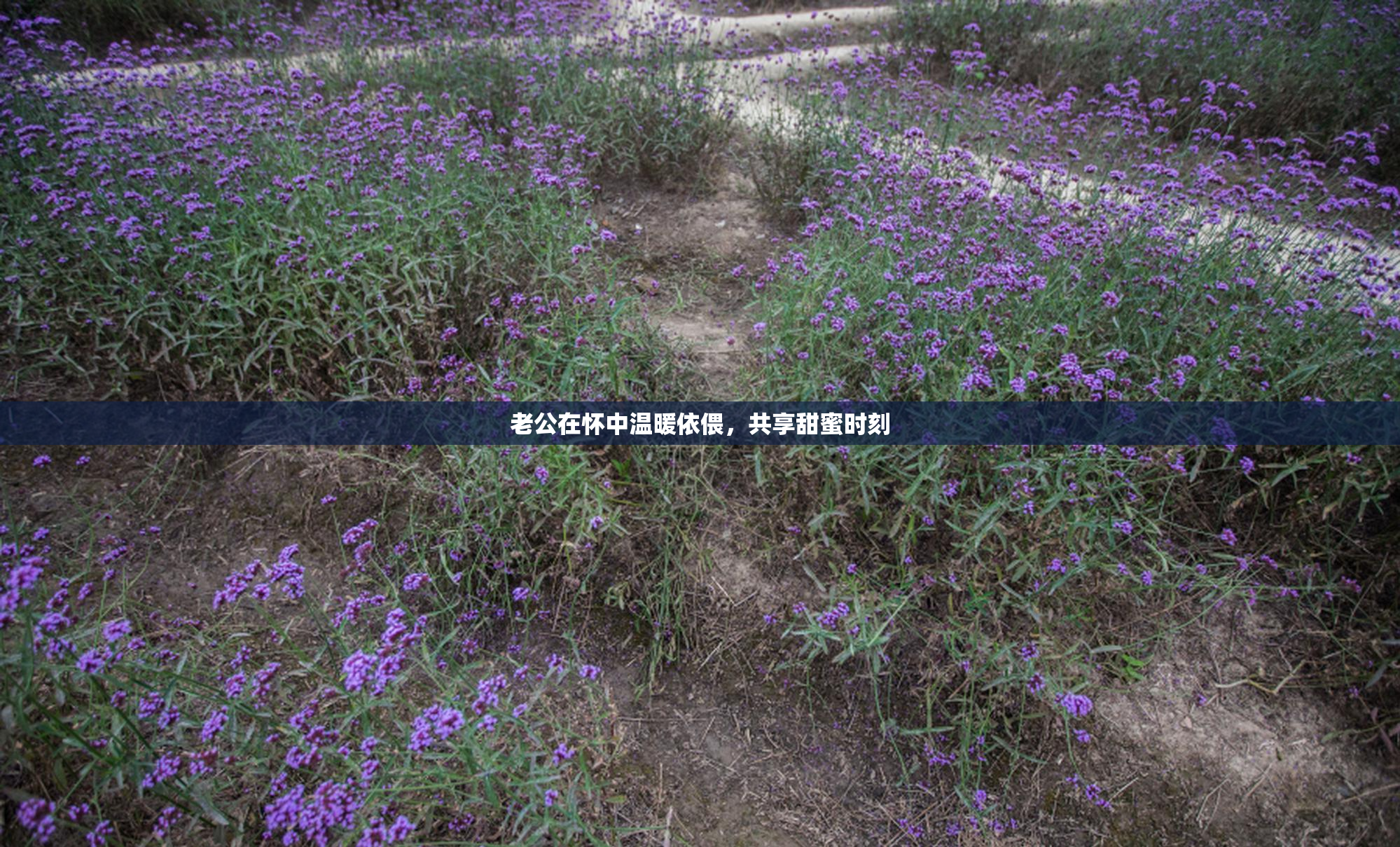 老公在怀中温暖依偎，共享甜蜜时刻