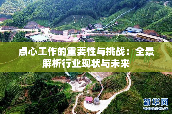 点心工作的重要性与挑战：全景解析行业现状与未来