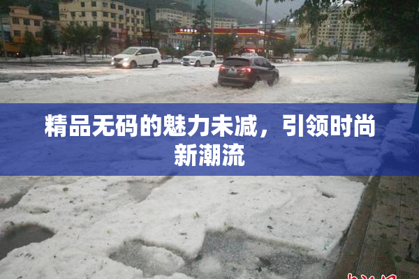 精品无码的魅力未减，引领时尚新潮流