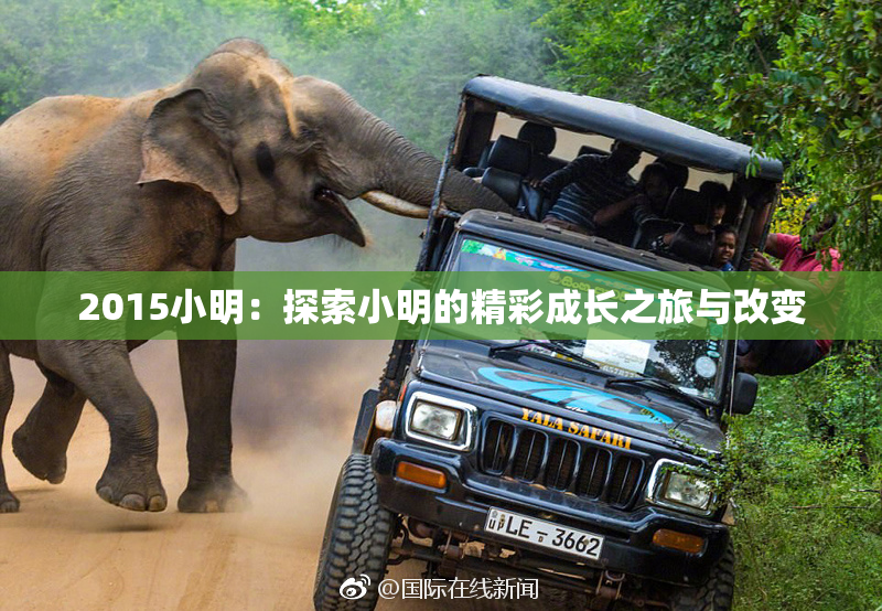 2015小明：探索小明的精彩成长之旅与改变
