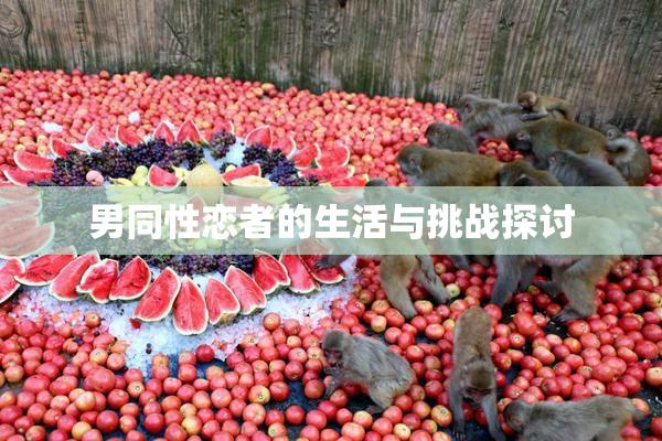 男同性恋者的生活与挑战探讨