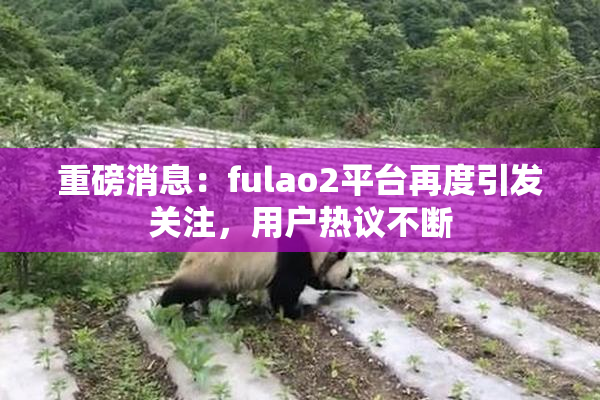 重磅消息：fulao2平台再度引发关注，用户热议不断