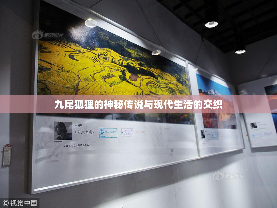 九尾狐狸的神秘传说与现代生活的交织