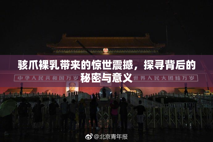 骇爪裸乳带来的惊世震撼，探寻背后的秘密与意义