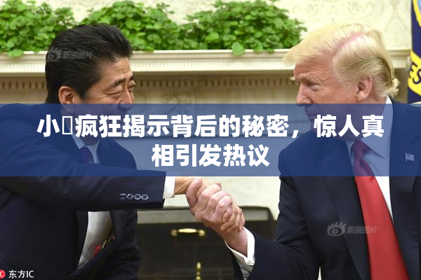 小泬疯狂揭示背后的秘密，惊人真相引发热议