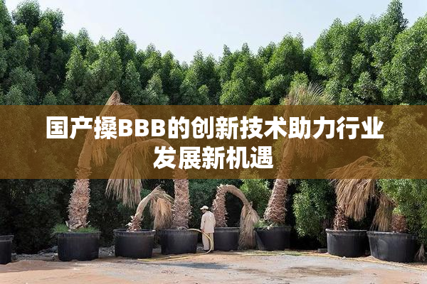 国产搡BBB的创新技术助力行业发展新机遇