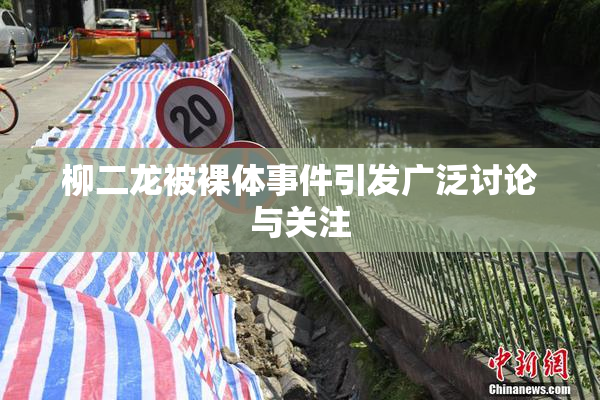 柳二龙被裸体事件引发广泛讨论与关注
