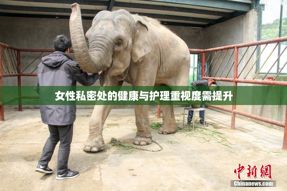 女性私密处的健康与护理重视度需提升