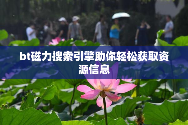 bt磁力搜索引擎助你轻松获取资源信息