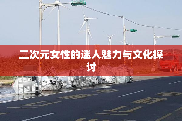 二次元女性的迷人魅力与文化探讨