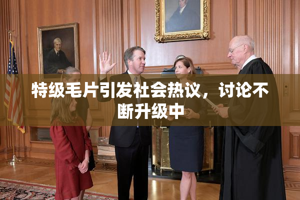 特级毛片引发社会热议，讨论不断升级中