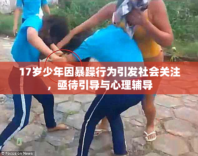 17岁少年因暴躁行为引发社会关注，亟待引导与心理辅导