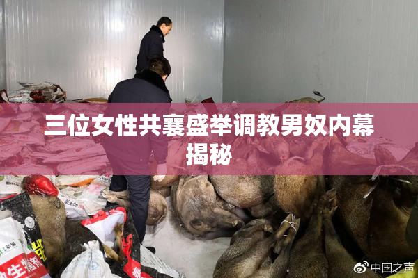 三位女性共襄盛举调教男奴内幕揭秘