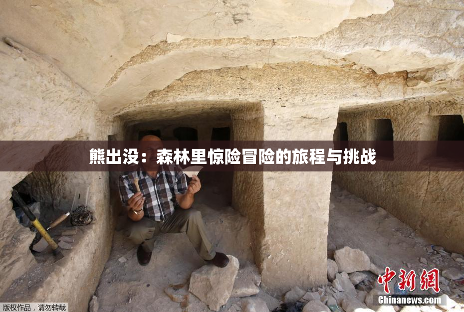 熊出没：森林里惊险冒险的旅程与挑战