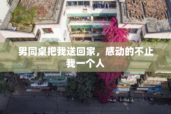 男同桌把我送回家，感动的不止我一个人