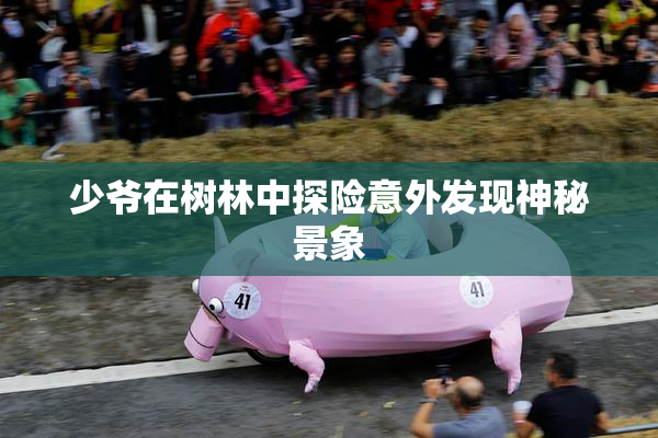 少爷在树林中探险意外发现神秘景象