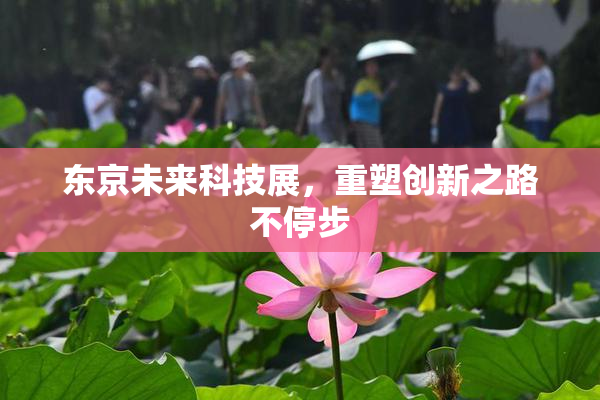 东京未来科技展，重塑创新之路不停步