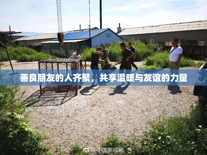 善良朋友的人齐聚，共享温暖与友谊的力量