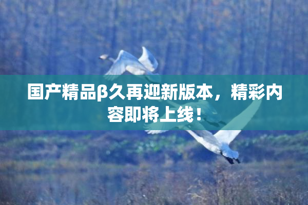 国产精品β久再迎新版本，精彩内容即将上线！