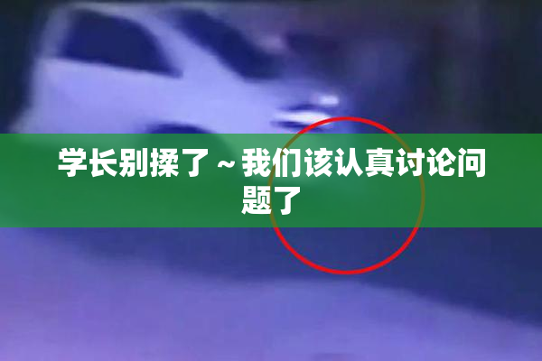 学长别揉了～我们该认真讨论问题了