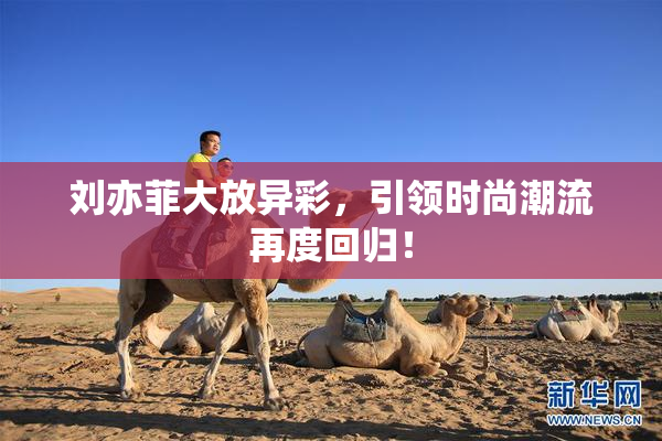 刘亦菲大放异彩，引领时尚潮流再度回归！