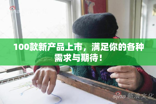 100款新产品上市，满足你的各种需求与期待！