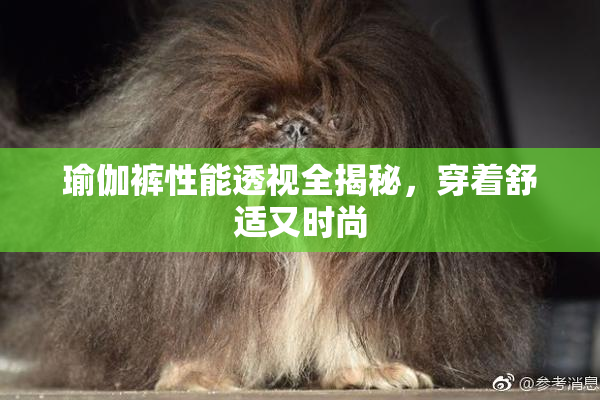 瑜伽裤性能透视全揭秘，穿着舒适又时尚