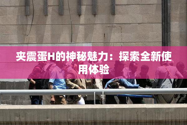 夹震蛋H的神秘魅力：探索全新使用体验
