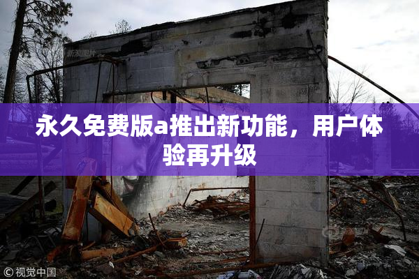永久免费版a推出新功能，用户体验再升级