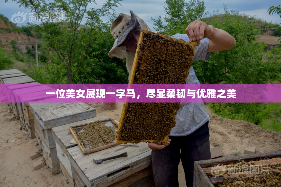 一位美女展现一字马，尽显柔韧与优雅之美