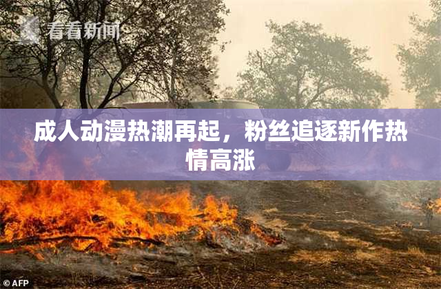 成人动漫热潮再起，粉丝追逐新作热情高涨