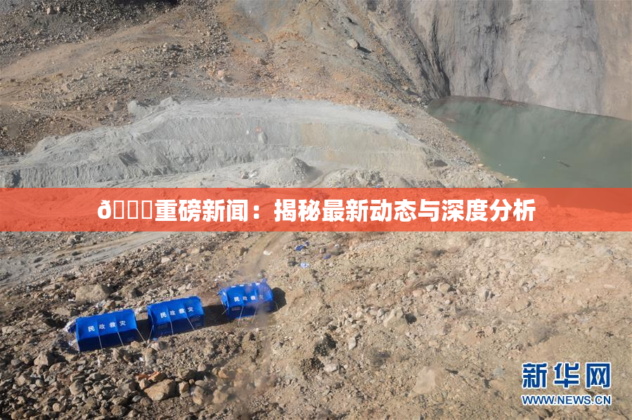 🈚重磅新闻：揭秘最新动态与深度分析