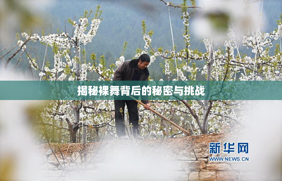 揭秘裸舞背后的秘密与挑战