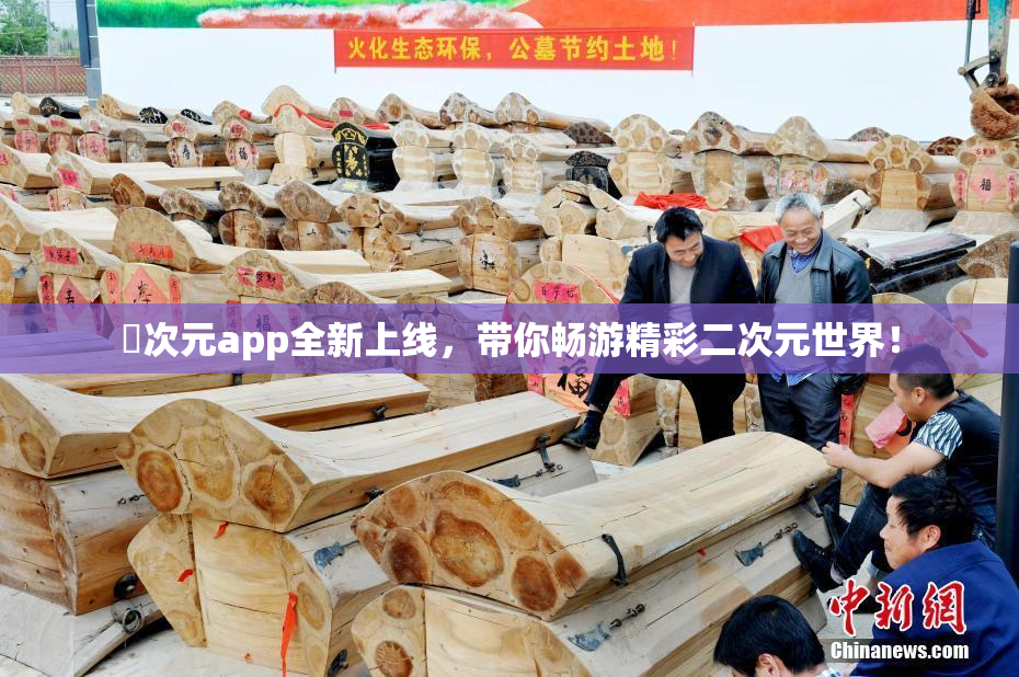 囧次元app全新上线，带你畅游精彩二次元世界！