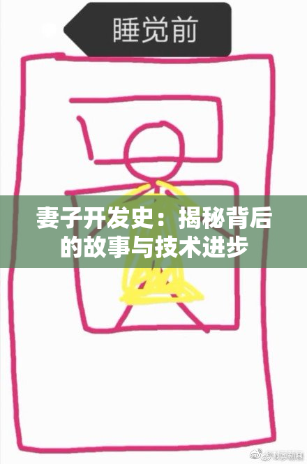妻子开发史：揭秘背后的故事与技术进步