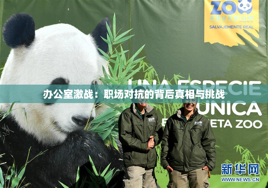 办公室激战：职场对抗的背后真相与挑战
