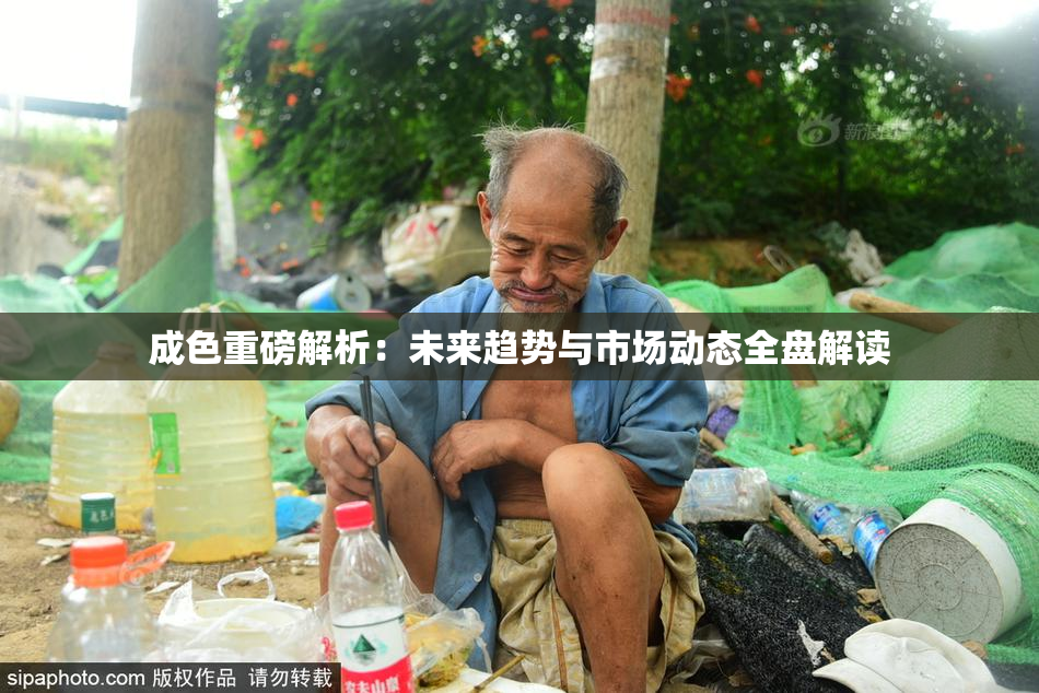 成色重磅解析：未来趋势与市场动态全盘解读