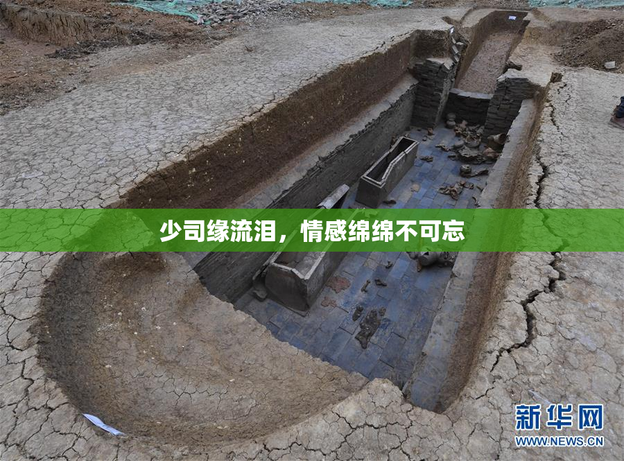 少司缘流泪，情感绵绵不可忘