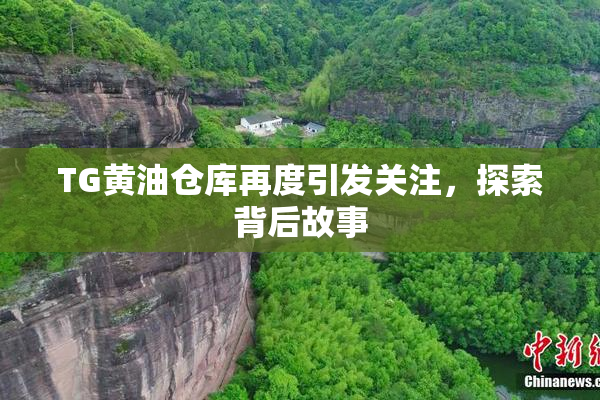 TG黄油仓库再度引发关注，探索背后故事