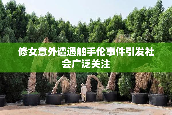 修女意外遭遇触手伦事件引发社会广泛关注