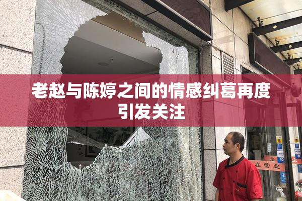 老赵与陈婷之间的情感纠葛再度引发关注