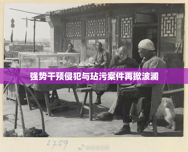 强势干预侵犯与玷污案件再掀波澜
